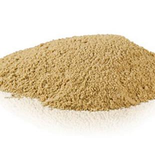 Amchur Powder