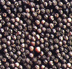 Black Pepper