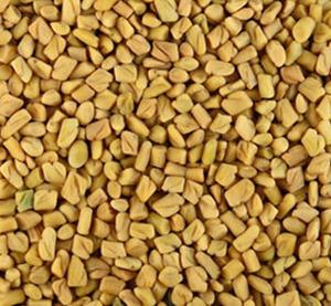 Fenugreek Seeds