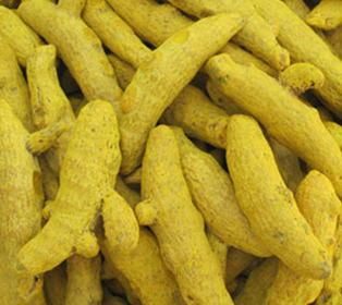 Turmeric Finger