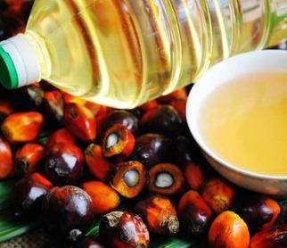Palmoil