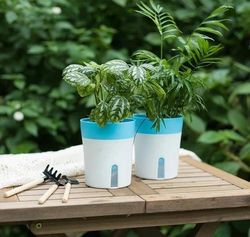 Self Watering Planters (ModelV9)
