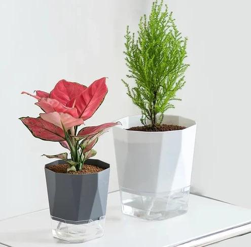 Self-watering (Model V4) Pentagon pattern