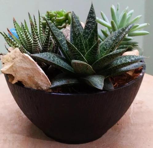 Flower pot bowl in wood texture and place
