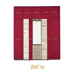 Domestic Almirah ZsC 11