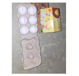 Protieggs Standard Eggs