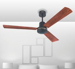BLDC Ceiling Fan