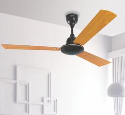 BLDC Ceiling Fan