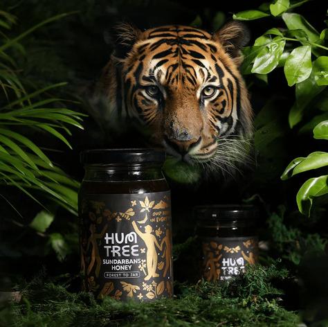 Raw Sundarbans Honey