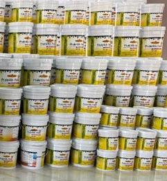 Prakritik Paint Eco Friendly Cow Dung Paint Emulsion