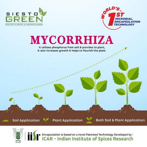 MYCORRHIZA BIOFERTILIZER