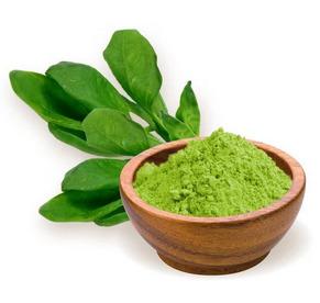 Spinach Powder