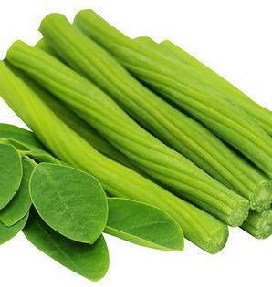 Moringa Drumstick