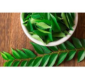 Curry Leaves