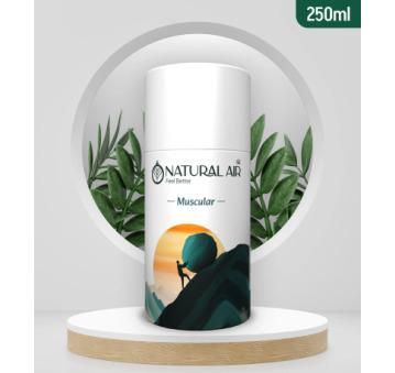Muscular - Air Freshener