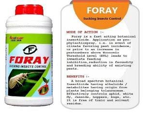 Foray