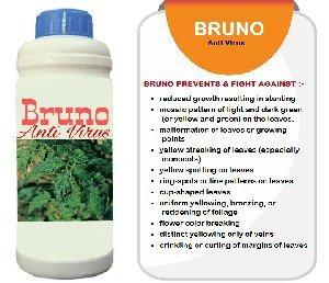Bruno