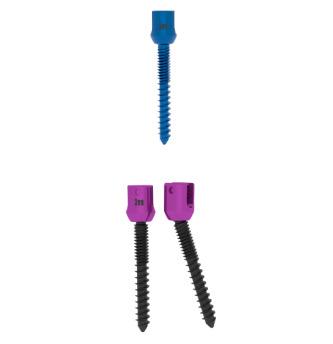 Spinel screws