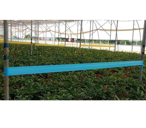 Stikcy Roll (Yellow / Blue)