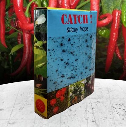 Stikcy Sheet 21 x 29 cms (Yellow / Blue / White)