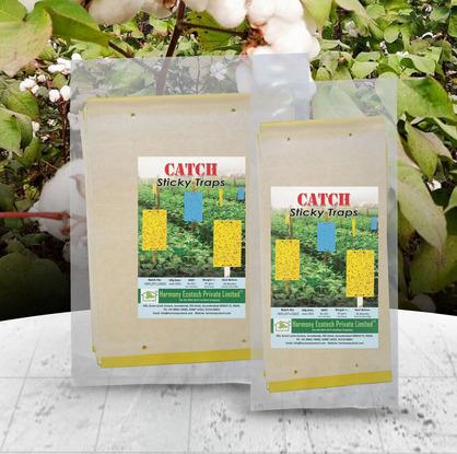 Stikcy Sheet 11 x 29 cms (Yellow / Blue / White)