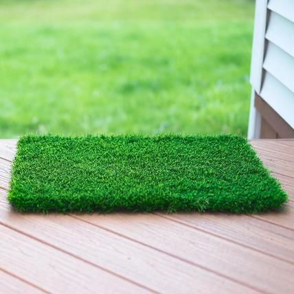 Door Mat