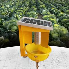 Sun Shine - Solar Light Trap