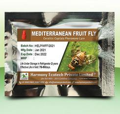 Ceratitis capitata - Mediterranean Fruit Fly