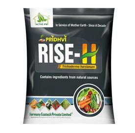Rise-H Microbial Bio Inoculants