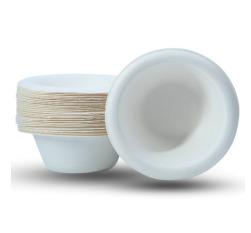 Bagasse Tableware
