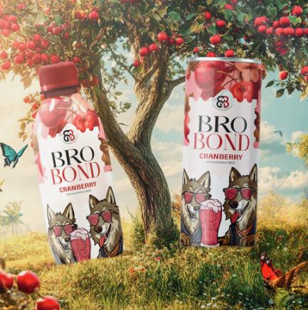 NON-ALCOHOLIC BEER - CRANBERRY