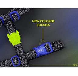 Harness
