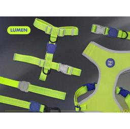 Harness
