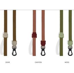 Leash