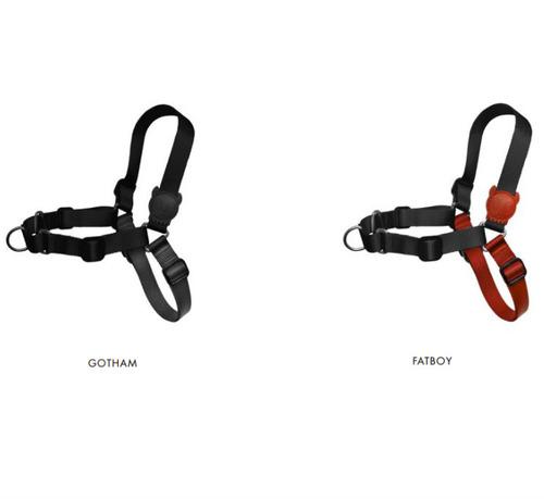 Softer Walk Harness