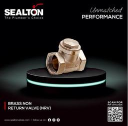 BRASS NON RETURN VALVE