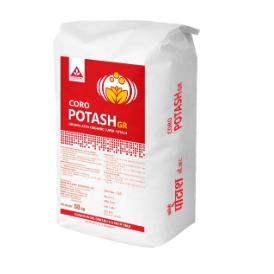 CORO POTASH GR