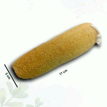 Cylindrical Shape Natural Loofah