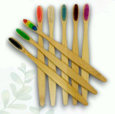 Multicolor Bristles C Curve