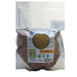 Little Millet