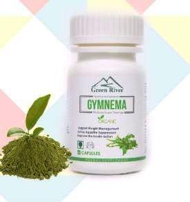 Gymnema Capsules
