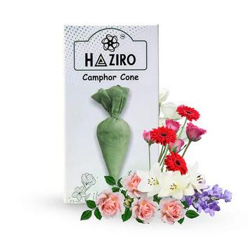Haziro Camphor Cone (Golden City) 