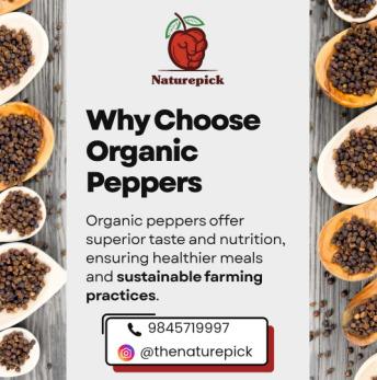 Organic Pepper