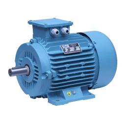 INDUCTION MOTOR