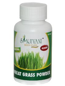 Wheat Grass