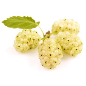 Fresh Fruits - Mulberry (Autralian White)