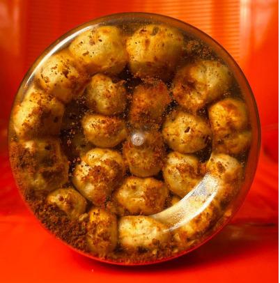 Peri Peri Makhana