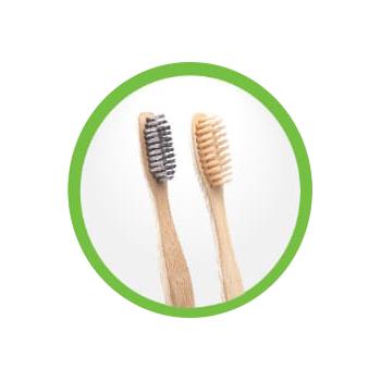 Bamboo Tooth Brush