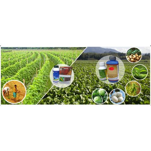 Agriculture Pesticides