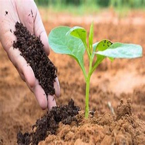 Agro Fertilizer